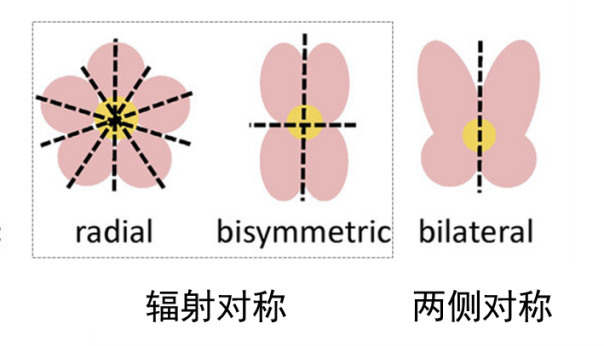 05a3ebdd3ed64e1b9374702a2656143b.png 05a3ebdd3ed64e1b9374702a2656143b.png