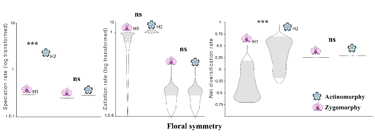 1fb411fc8e4d49f3b4d325506b654e35.png 1fb411fc8e4d49f3b4d325506b654e35.png