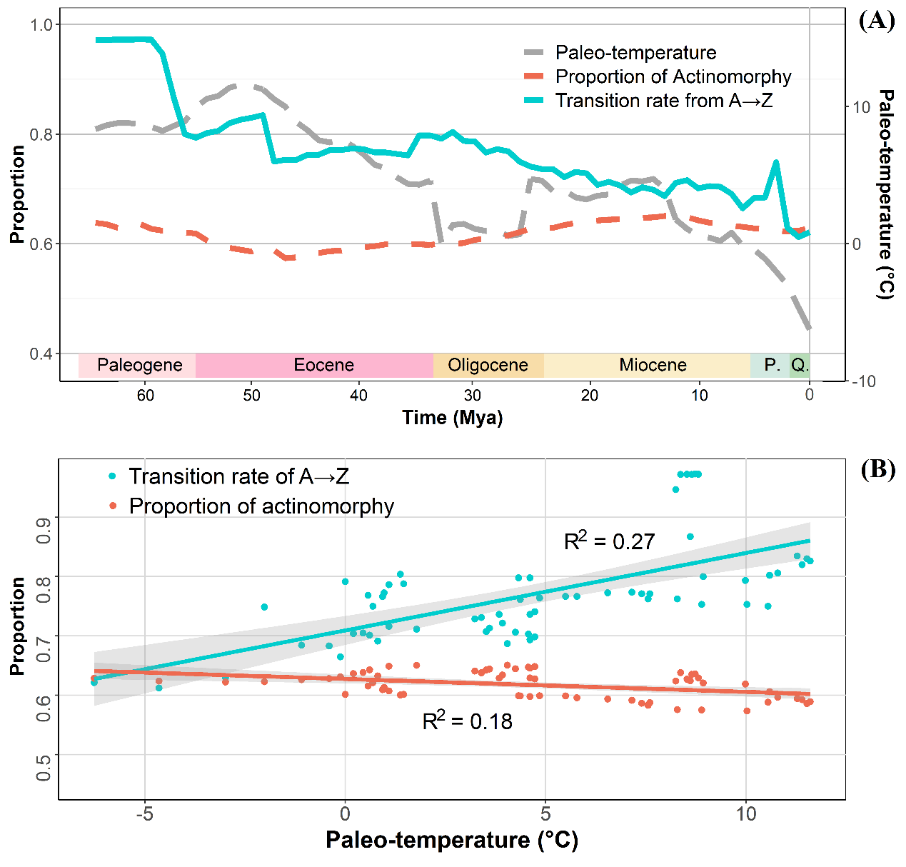 ca42e4aeafc64bf480a4c8100abf0cac.png ca42e4aeafc64bf480a4c8100abf0cac.png