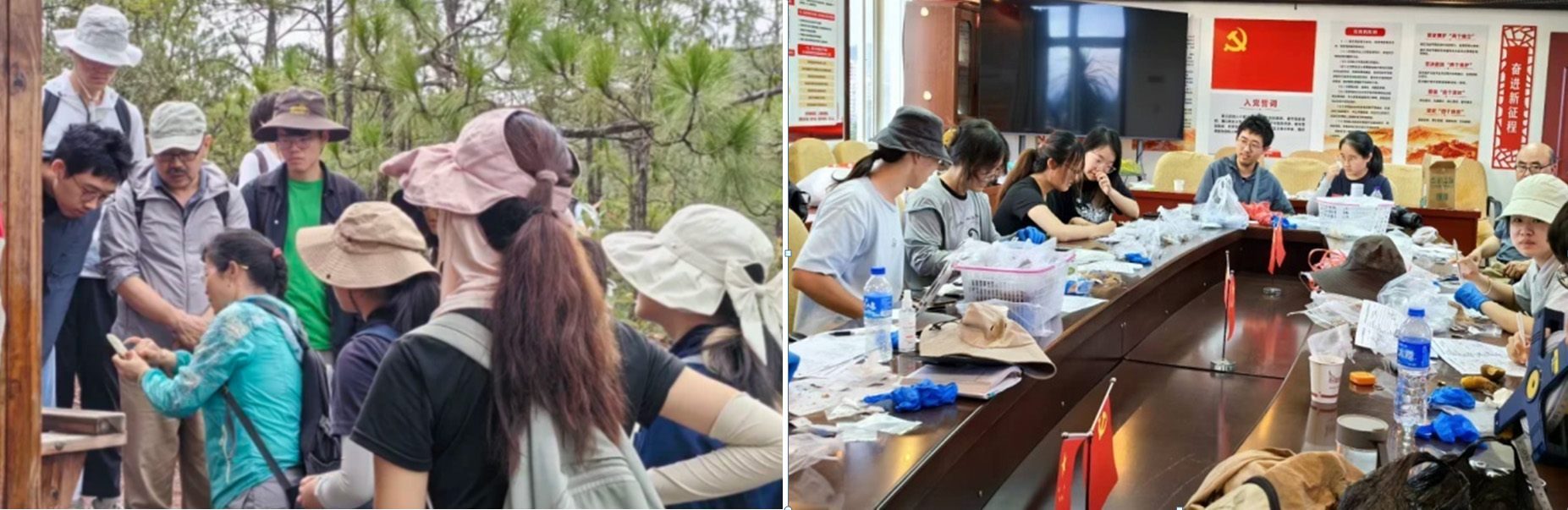 c8fd91bb1ac1407da7544956b8206cbd.jpg 5.jpg